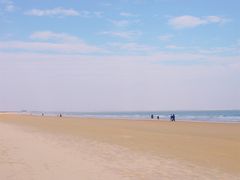 -日照海滨国家森林公园