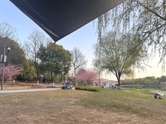 -长广溪湿地公园