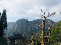 -鹿院坪生态旅游景区