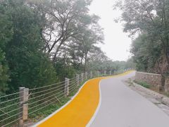 -北京西山国家森林公园