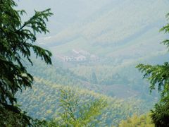 -莫干山风景区