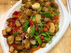 狗鱼一鱼两吃-煲来饱去冷水鱼