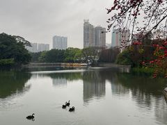 -东山湖公园