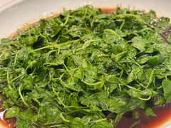 -上海总会SHANGHAICLUB(兴业太古汇店)