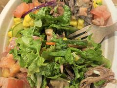 -油梨树 AVOCADO TREE(亮马桥店)