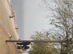-武昌江滩