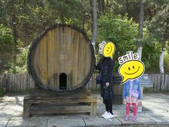 -北京张裕爱斐堡酒庄
