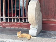-龙华寺