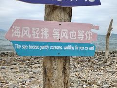 -杨梅坑