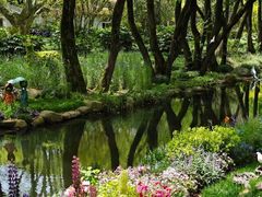 -上海共青森林公园