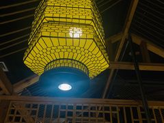 -探窝·竹笙椰子鸡(杨箕店)