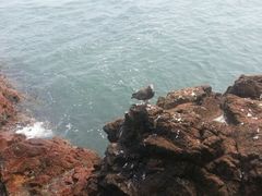 -海驴岛(荣成市)