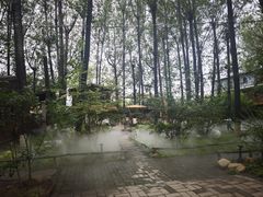 -林间山庄