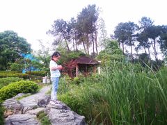 -铁山坪森林公园