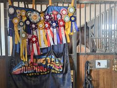 -北京群众马术培训基地