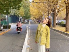 -三里屯东五街银杏大道