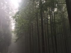 -山王坪喀斯特国家生态公园