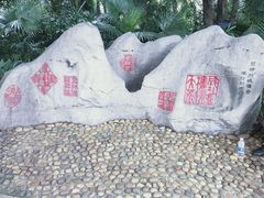 -柳侯公园