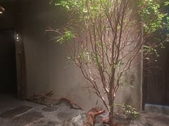 -森SPA·泰式按摩·精油Massage(宝安中心店)