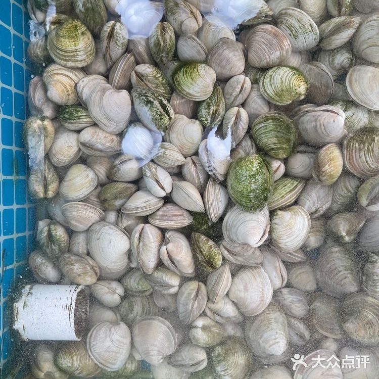 翻着翻着看到之前去惠州吃的一家海鲜