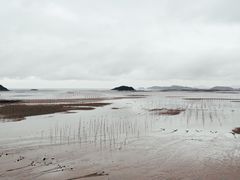 -北岐滩涂