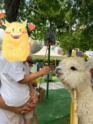 -萌宠亲子动物乐园(槐房万达店)