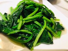 时令蔬菜-衡山汇·高级粤菜(霄云路店)