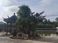 -游龙石文化科普馆