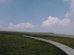 -芦芽山旅游度假区
