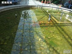 -北京大学肿瘤医院