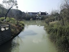 -八大山人梅湖景区