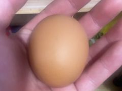 -百果园PAGODA(双塔街郦苑店)