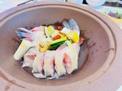 -鲜念蒸汽石锅鱼(红山6979店)