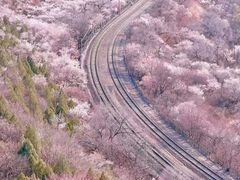 -居庸关长城