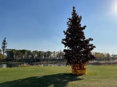 -养云安缦吧THE BAR