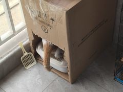 -泉州海丝野生动物世界