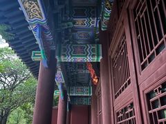 -厦门园林博览苑