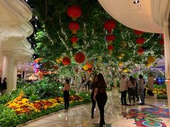 -拉斯维加斯永利酒店