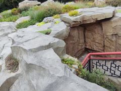 -成都市活水公园