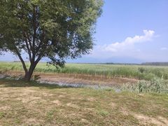 -野鸭湖国家湿地公园