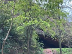 -马口生态公园