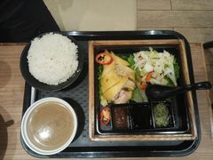 海南功夫鸡饭-大家乐(广州天河城六楼店)