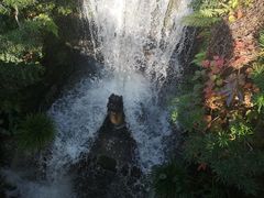 -深圳仙湖植物园