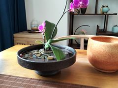 -听雨小筑茶舍(观音桥·龙湖新壹街店)