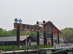 -白洋淀景区