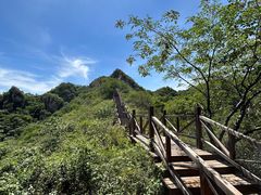 -大岭沟猕猴桃谷风景区