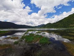 -腾冲北海湿地