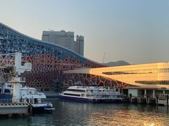 -招商蛇口邮轮母港(观光客运)