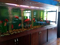 android_upload_pic-蓝枪鱼西餐厅(锦华店)