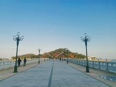 -野狸岛